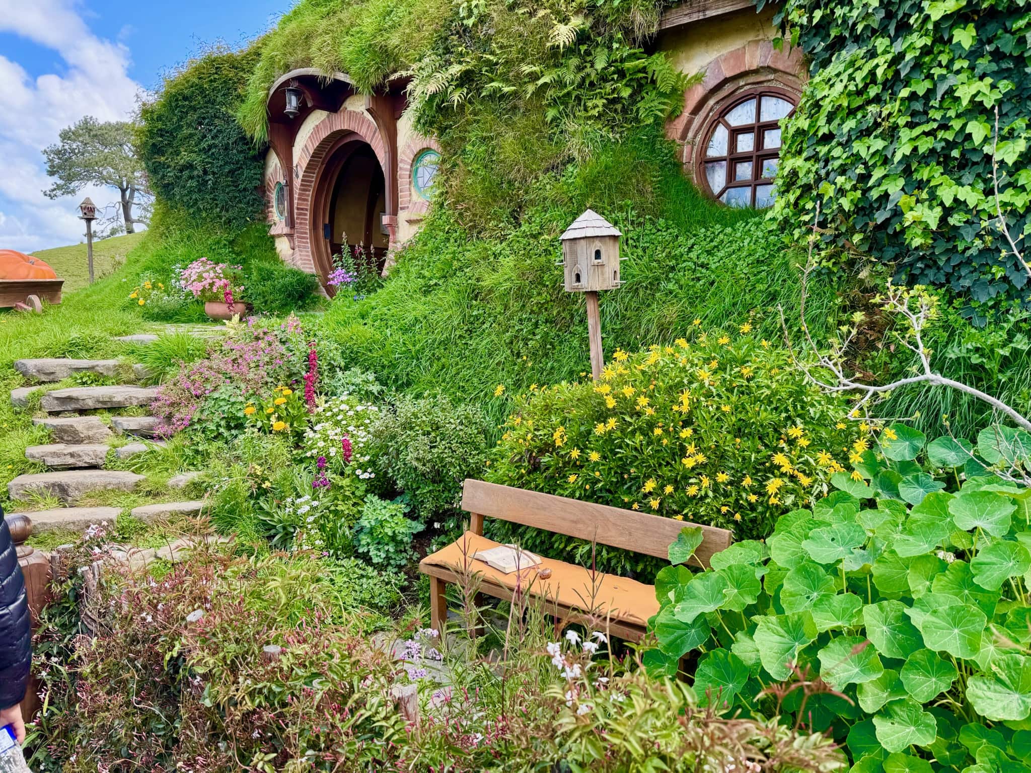 Hobbiton & Hang Động Đom Đóm Waitomo từ Auckland 4