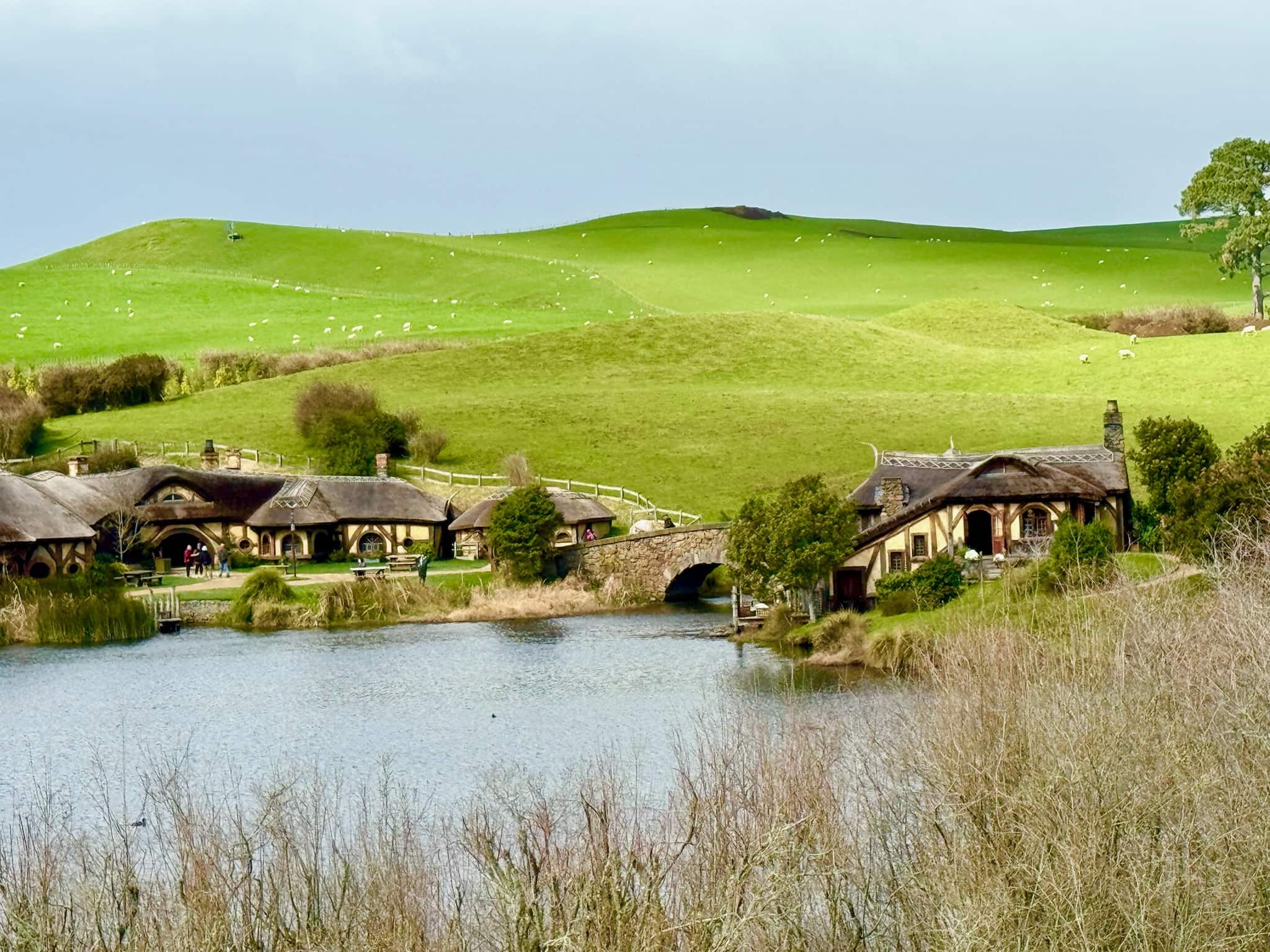 Hobbiton & Blue Springs từ Auckland 4