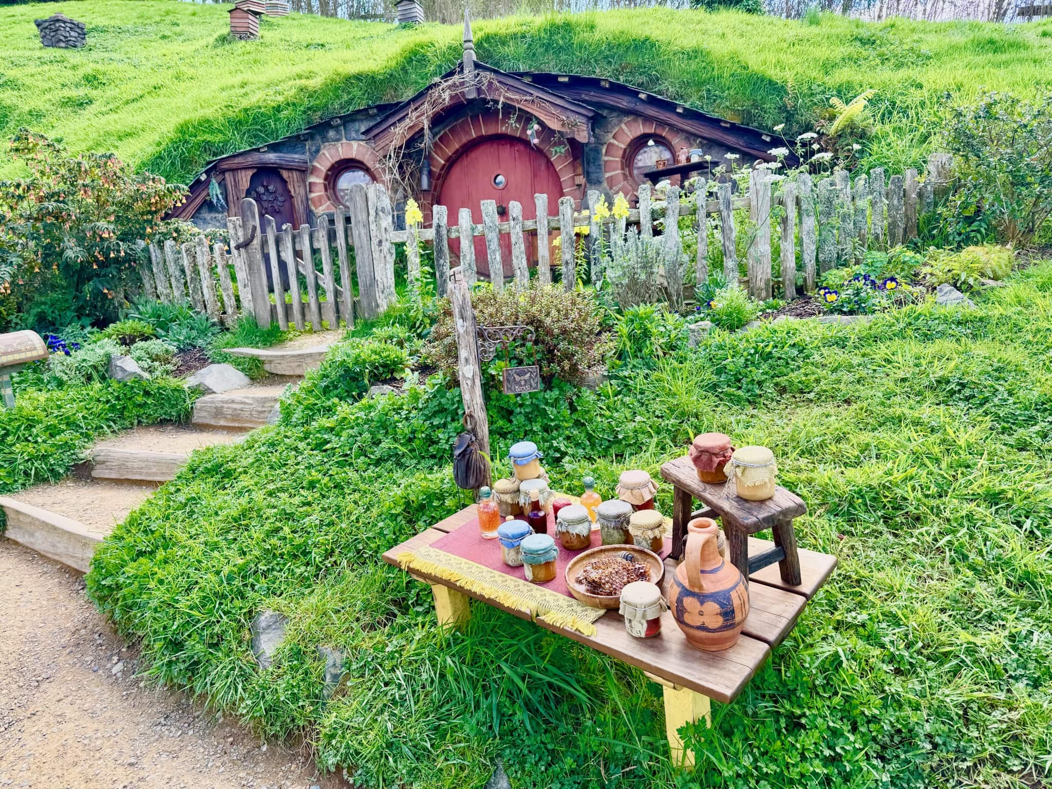 Hobbiton & Hang Động Đom Đóm Waitomo từ Auckland 3